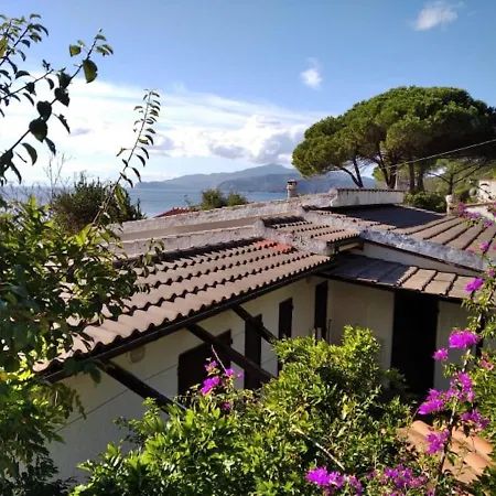 Apartment Beautiful Bilo For 2 Or 3 Pax Closed To The Innamorata Palazzo (Livorno)
